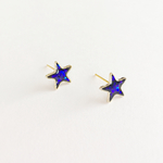 プチ星ピアス*イヤリング*