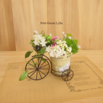 Petit Green Arrange 648