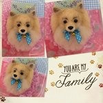 kumari様 わんこ羊毛フエルトストラップ