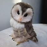 送料込みアカアシモリフクロウ