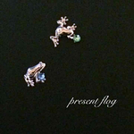 present flog  綺麗なカエルのピアス