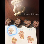 再販！多肉ちゃんスタンプ④パキベリア
