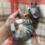 おねがいにゃんこNo.164
