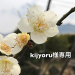kijyoru様専用☆