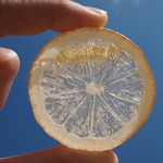☆なんの実？ブローチ　レモンスカッシュ味 輪切り　