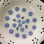 忘れな草大2(押し花)