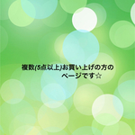 複数ご注文専用ページ