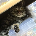 kuuhサマ 専用ページ