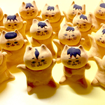前髪のネコ