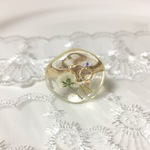かすみ草の雪解けリング*。