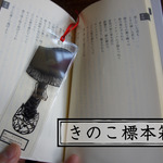 きのこ標本箱しおり  タマゴタケ