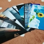 写真10枚