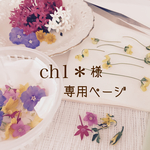 ★ch1＊様 専用ページ★
