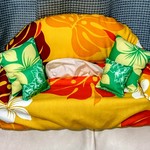 アロハティッシュケース