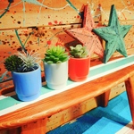 VINTAGE　WOOD　STAR　２