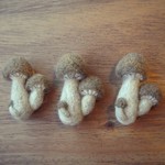 羊毛フェルトのブローチ しめじ
