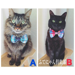 再再入荷！チェック柄蝶ネクタイ猫ちゃんの首輪