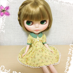 ブライス  アウトフィット  洋服