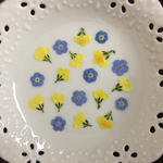 リナリア忘れな草大輪(押し花)