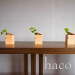 haco