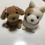 送料無料 羊毛フェルト トイプー ブチ