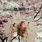 serika様 専用ページ