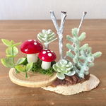 ❤︎きのこと多肉植物の置き物❤︎