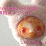 hanahana 9616 専用ページ