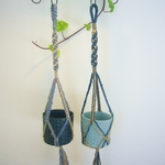 カラフルプラントハンガー★ハンギング2色セット販売★