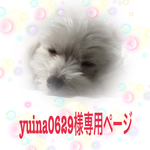 yuina0629様専用ページ
