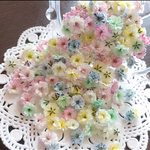 mix②