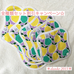 【送料無料】オーガニック布ナプキン  全種類set ¥1,000 OFFキャンペーン