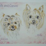 【milk_canon様オーダー品】愛犬イラスト