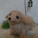 ミニチュアダックスフンド クリーム
