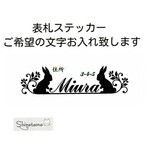 専用ページ1300円