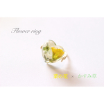 菜の花とかすみ草の押し花ハートリング