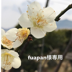 fuapan様専用ページ☆