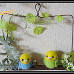 ＊インコちゃん２匹　壁掛＊