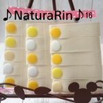 ♪16♪おしゃれ♪シンプルで可愛い♪ハンドメイド♪ネームタグ15本セット♪お名前タグ♪入園入学準備に♪
