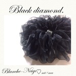 ラスト4♥fairyシリーズ♡Black diamond

