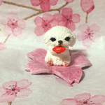 ペキニーズの花見