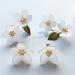 ＊桜のピアス＊