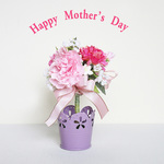 母の日プレゼント「カーネーションアレンジ」 ftm03