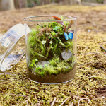 【苔テラリウム】苔むす森