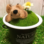 花が咲いたよダックス缶☆ 羊毛フェルト 犬