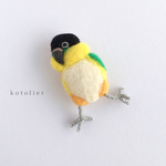 再販【sumirebirdさまオーダーページ】あんよブラブラ鳥さんブローチ ”ズグロシロハラインコ”