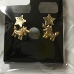 閉店セール！！4個セット！オオカミピアス♡