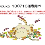 youko-130716様専用ページ