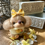 アプリコットトイプードル✨黄色のお花に囲まれて春気分✨