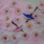 ★　梅&鳥のコラージュ　押し花素材　★